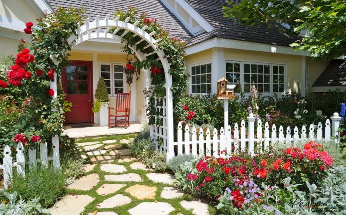 Ландшафтный дизайн дачного участка: идеи для современного