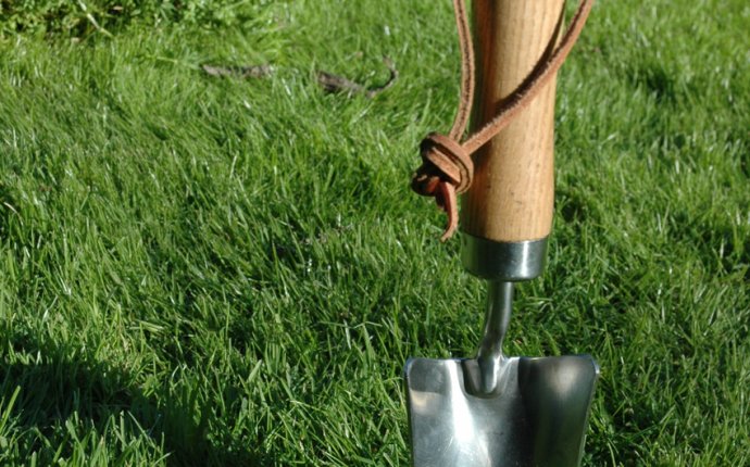 Лопатка для рассады - каталог садового инструмента в магазине
