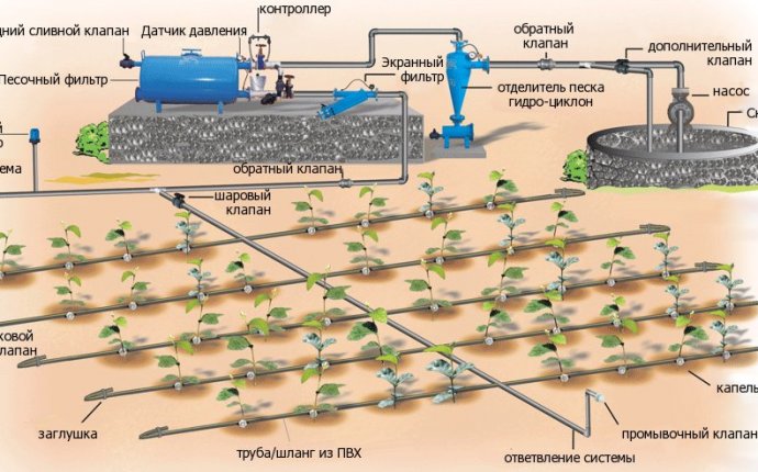 Пористый шланг для капельного полива: автоматический полив