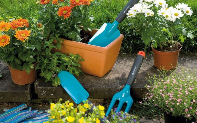 Садовые инструменты - Расскажем где купить