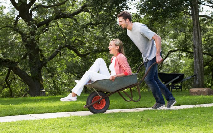 A Garden Two-Wheeled Or One-Wheeled Car, Which Is Better