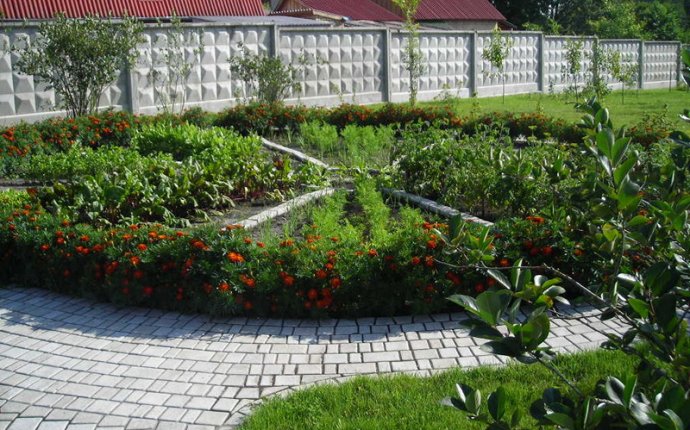 Landscape Design Of Photo Garden