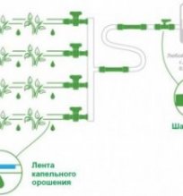 Схема набора «Зеленая река»